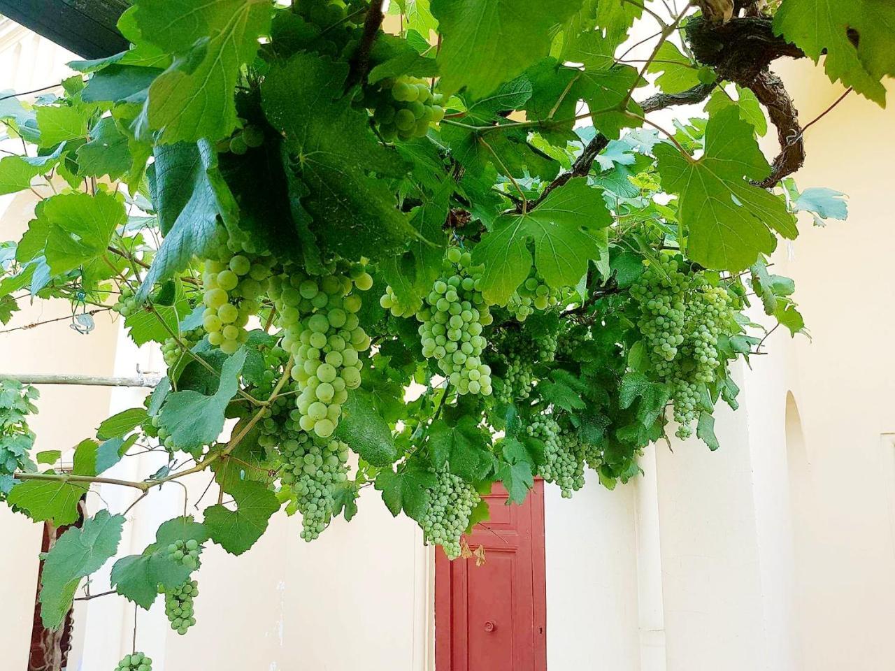 Dimora Del Conte Sorrento Coast Seaview Apartment Vico Equense Exterior foto